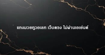 แทงมวยทูวอเลท เว็บตรง ไม่ผ่านเอเย่นต์