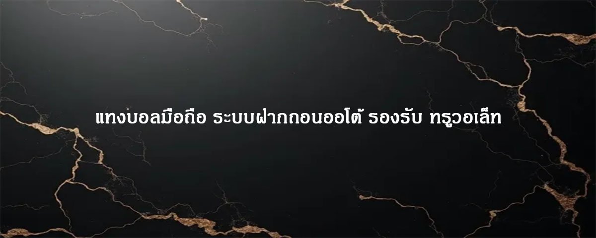 แทงบอลมือถือ ระบบฝากถอนออโต้ รองรับ ทรูวอเล็ท